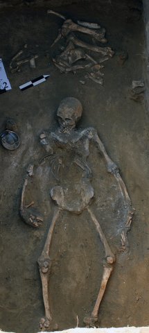 Скифское погребение с чернолаковой чашой, датируемое IV вв. до н.э. (Днестровская археологическая экспедиция 2016 г., июнь)