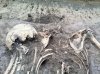 Раскопки 2018 (2 сезон, июль-август).Скифское погребение IV в. до н.э.,скелет лежал ничком, в правом плече бронзовый наконечник стрелы.