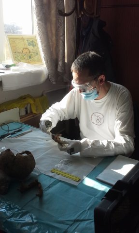 (Католический университет Петера Пазманя) Венгерский антрополог берет необходимые фрагменты кости для дальнейших радиоуглеродных исследований (ноябрь,2016 г.).