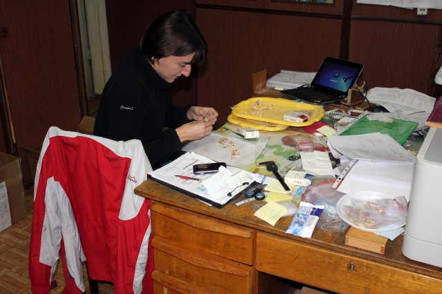 Польский антрополог Сильвия Лукасик  работает с останками скифов (2013 г.)