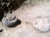 Погребение ингульской катакомбной культуры, где на черепе умершего зафиксированы два отверстия от операции трепанации с успешным заживлением. ДАЭ-2019, летний сезон